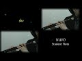 [NUVO Plastic flute ③] プラスチックフルートの実力    Flute Duo : SHE