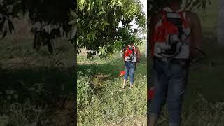 Backpack Brushcutter- Sri Amman Agro Agencies,Erode,TN.Whatsapp cell:9865254302 by SRI AMMAN AGRO AGENCIES Erode 178 views 2 years ago 1 minute, 42 seconds