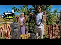 صناعة التين المجفف و تخزينه لسنوات بمواد طبيعية