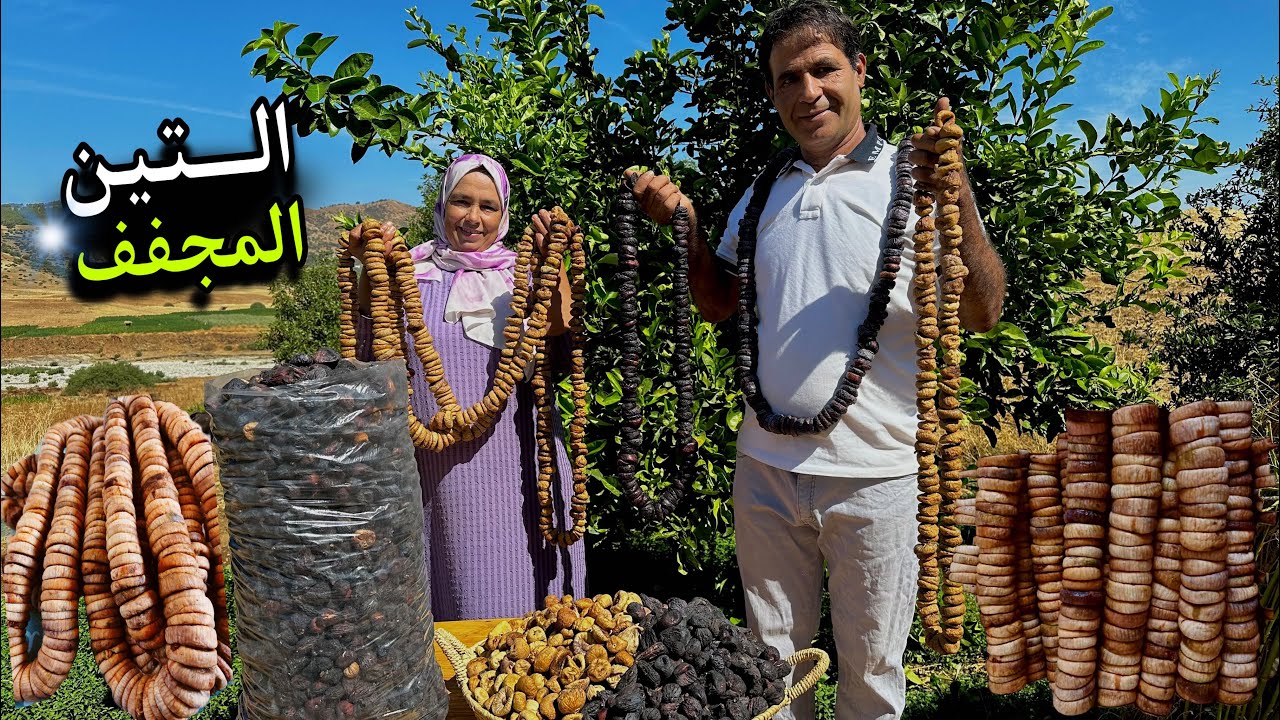 صناعة التين المجفف و تخزينه لسنوات بمواد طبيعية