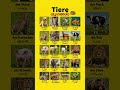 animals in german #dailygerman #germanstudents#deutsch #germanpronunciation #deutschkurs