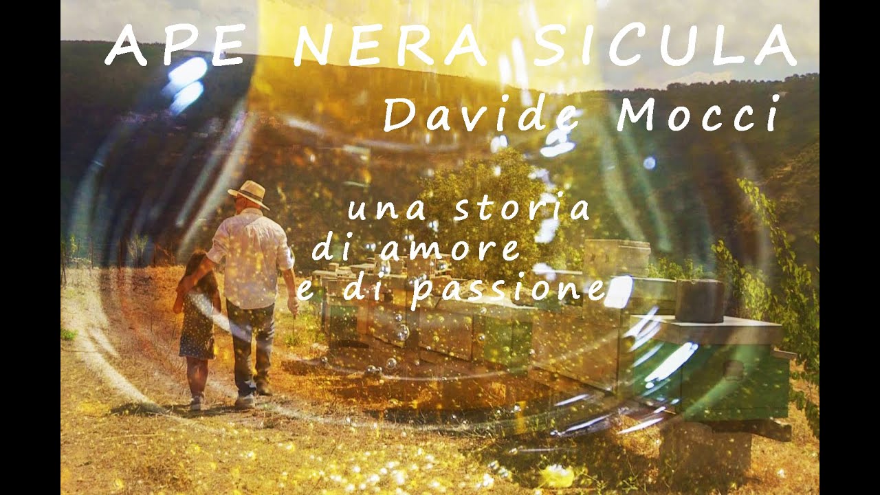 APE NERA SICULA #davidemocci DOC RAI GEO - DALLE ISOLE EOLIE al PARCO dei NEBRODI RAIPLAY RAI PLAY