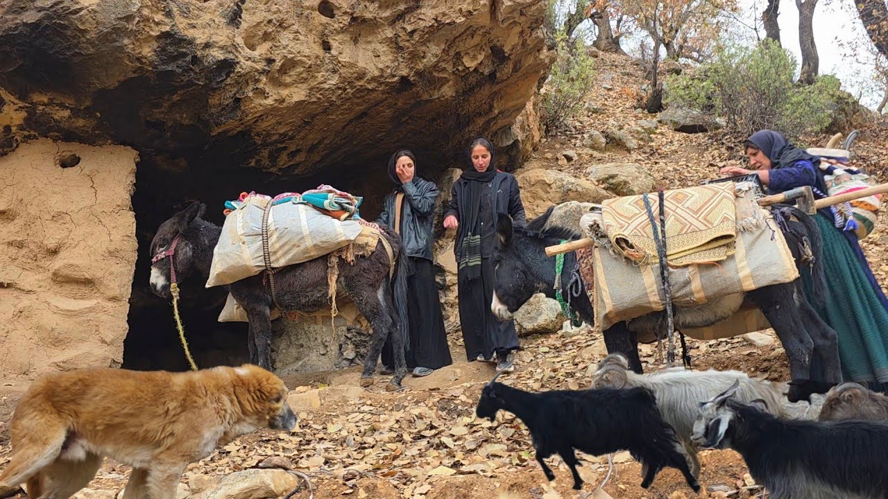 Прибежище в пещере ради выживания: вынужденная миграция кочевых девушек в суровую зиму.