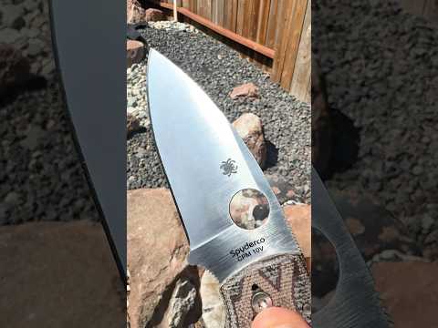 Micarta Monday with the Python Shaman  