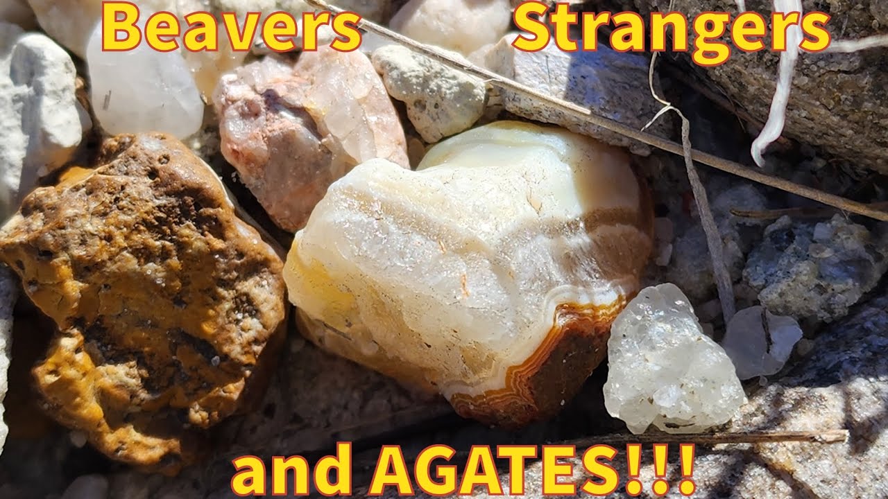 Hunting for Fairburns on a nice spring day!