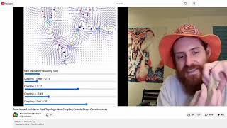 Consciousness Vortices, Topological Electromagnetic Tuning, Network Geometry - Andres Gomez Emilsson