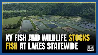 From hatchery to hook: Kentucky Fish and Wildlife program stocks fish at 45 lakes statewide
