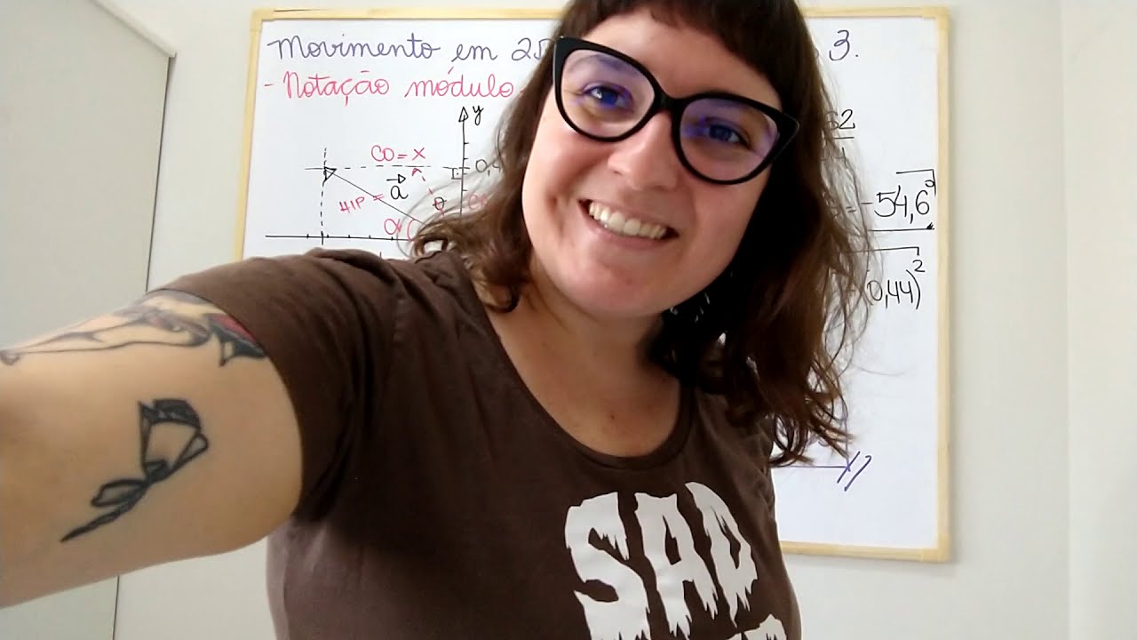 Movimento em duas e três dimensões - exercício 3