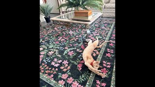 Garvee Area Rug 8x10 for Living Room, Washable Non Slip Low Pile Rugs, Floral Soft Carpet for Living