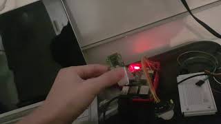 IFB102 Mini-Project Checkpoint 1