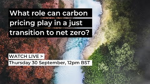 What Role Can Carbon Pricing Play In A Just Transition To Net Zero?
