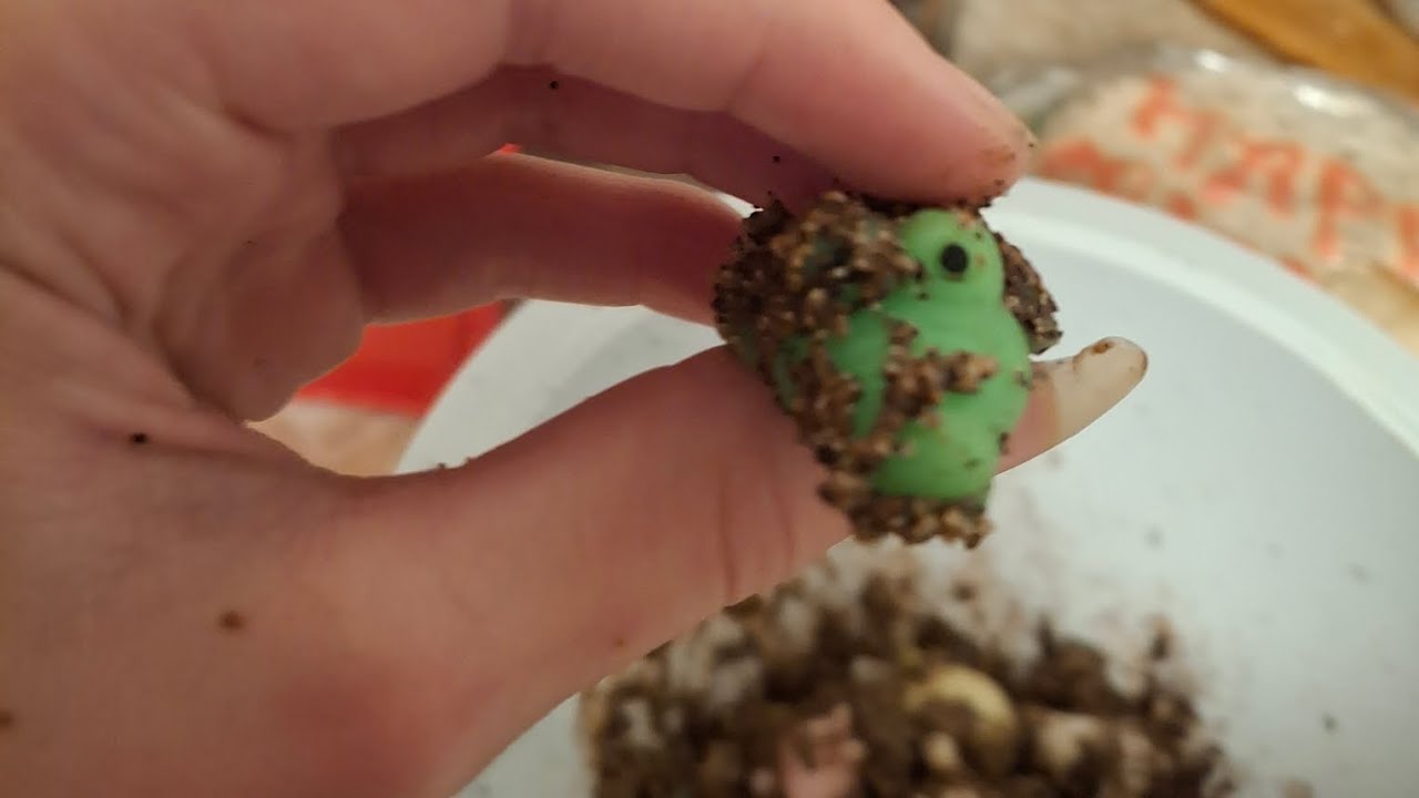 getting sqishys dirty before a squishy deep clean