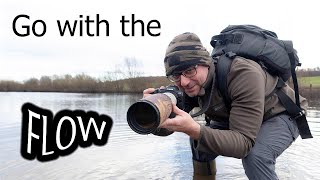 How to Make the Most of Dull Weather in Bird Photography by Paul Miguel Photography 6,871 views 3 months ago 9 minutes, 42 seconds