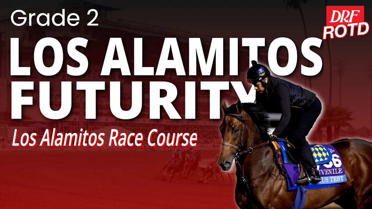 DRF Saturday ROTD | Скачки Los Alamitos Futurity 2-го класса | 13 декабря 2025 г.