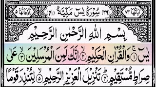 Surah Yasin  Yaseen Surah  Surah Yaseen  Quran Surah  Quran Karim  Quran Tilawat