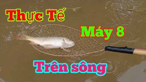 kichca 8 phét, kích cá rô phi chép trên sông cùng khách hàng 0362921480