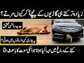 Scientific Research on Dogs And Its Reality | Urdu Cover