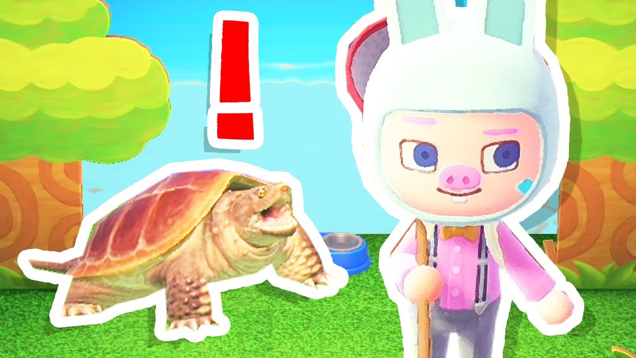 I Got A Pet Turtle In Animal Crossing Youtube - sea turtle cat collar roblox