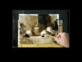 Qiang Huang Still life painting demo on Zoom