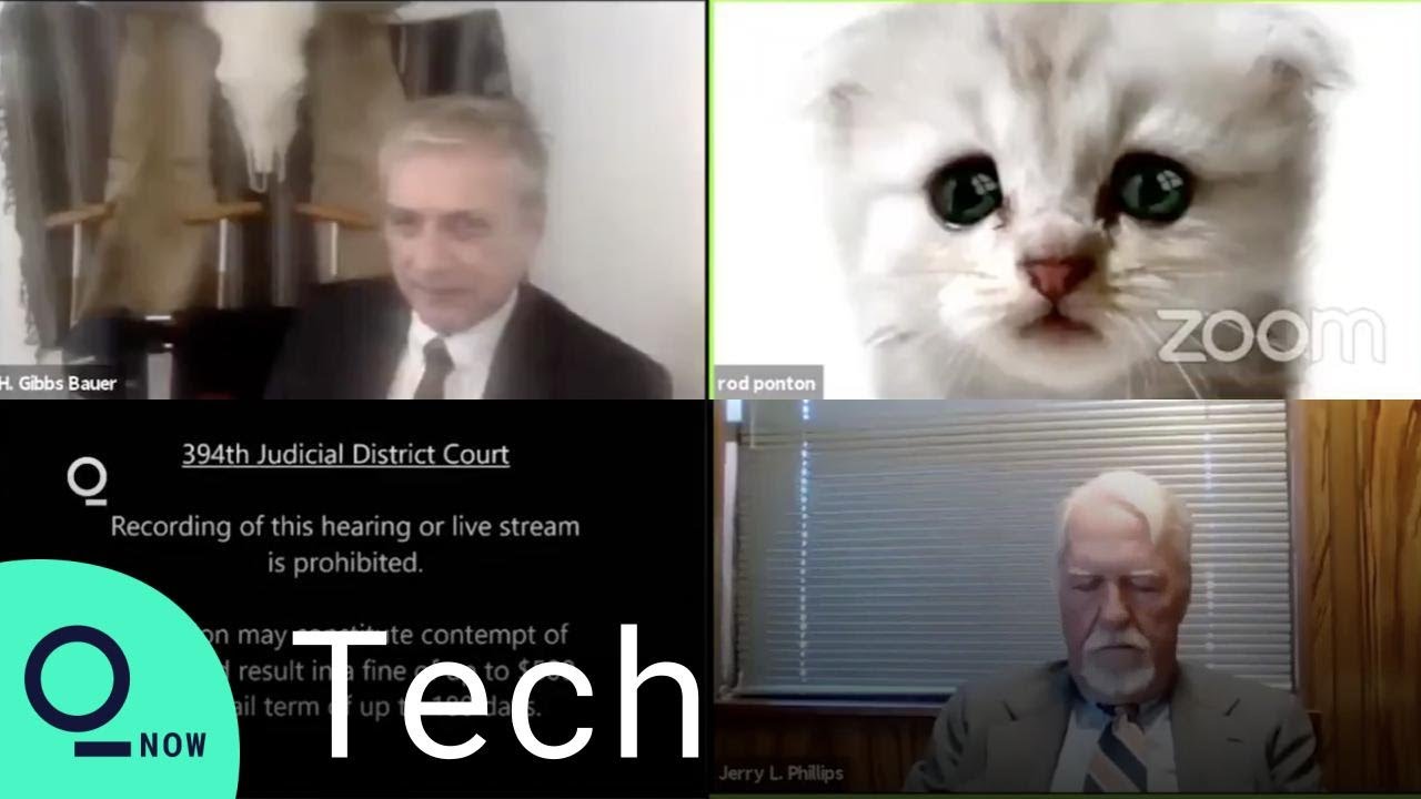 I M Not A Cat Filter Turns Texas Attorney Into A Cat During Zoom Hearing Youtube