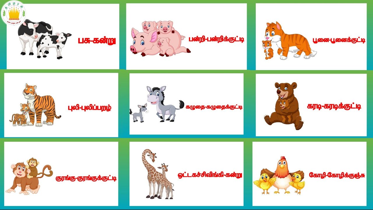 விலங்குகளின் இளமைப் பெயர்கள்-தமிழரசி|Learn Animals & their babies name for  kids inTamil |Tamilarasi - YouTube