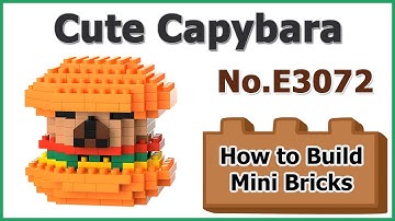 How to Build Mini Blocks Capybara E3072 Review Instructions Specifications