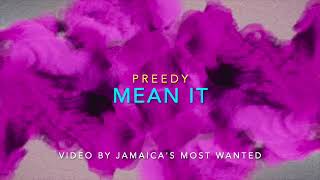 Video thumbnail of "Mean It - Preedy (Lyrics)"