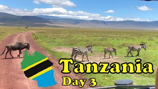 Tanzania Safari: Day 3 - Ngorongoro Crater National Park