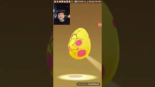 Hatching 8 New 7Km Alolan Eggs In Pokémon Go Crazy New Pokémon Hatches Bad Audio
