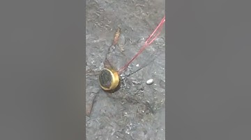 Lava Z60 E mic Solution|Lava Z60 e mic not working|Lava Z60 ringer not working|Lava Z60 mic jumper