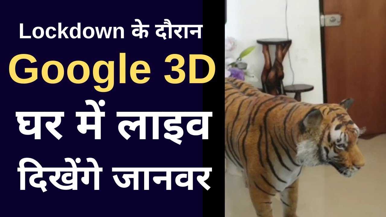 Get Google Live 3D Animals List Gif