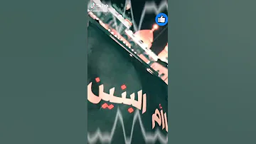 لطمية على تحضر بالشدايد ام البنين 