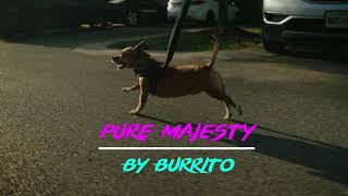 The Majesty of Burrito