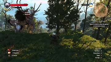 The Witcher 3: Wild Hunt fiend fight (then glitch)