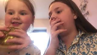 IMG 6274
