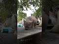 14 07 2025 Сны 14 07 2025 Сны
