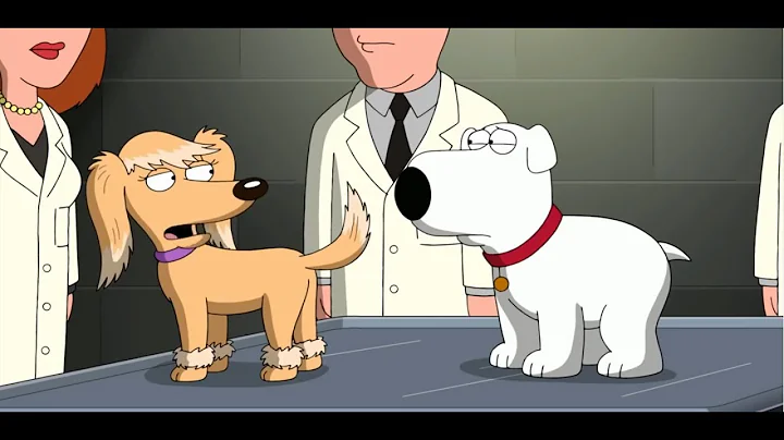 Family Guy   Brian Couldn't get a Boner
