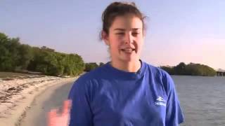 Sea Turtles Return to the wild | SeaWorld Orlando