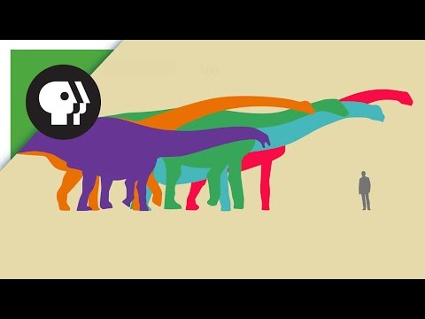 What Was the World&rsquo;s Biggest Dinosaur?