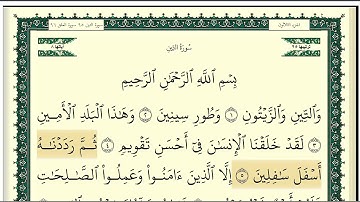 (١٥٣) رقم(٩٥)سورة التين تلاوة الشيخ وديع اليمني جزاه الله خيرا