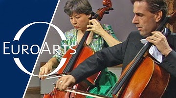 Johannes Brahms - String Sextet No.1, Op. 18 | Wiener Streichsextett