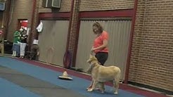 Kathy & Dixie performing Freestyle "Dog Dancing" - Greenbelt, MD  - Durasi: 2:53. 