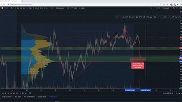 WSOT - Bybit Bot Squad - Genesis Algo