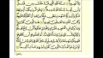 سورة الفتح ثمن [ لقد رضي الله عن المؤمنين إذ يبايعونك تحت الشجرة فعلم ما في قلوبهم ]