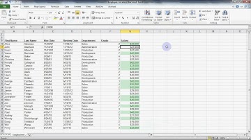 Microsoft Excel 2010 -  Conditional Formatting