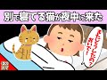 【2chほのぼの】いつもキャットタワーで寝ている猫が、夜中に娘を起こした結果www