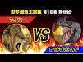 動物最強王図鑑1回戦第1試合