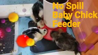 No Spill/Mess Baby Chick Feeder