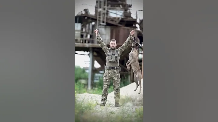 Army 🪖 soldiers dog 🐕 training #shorts #viral #youtube