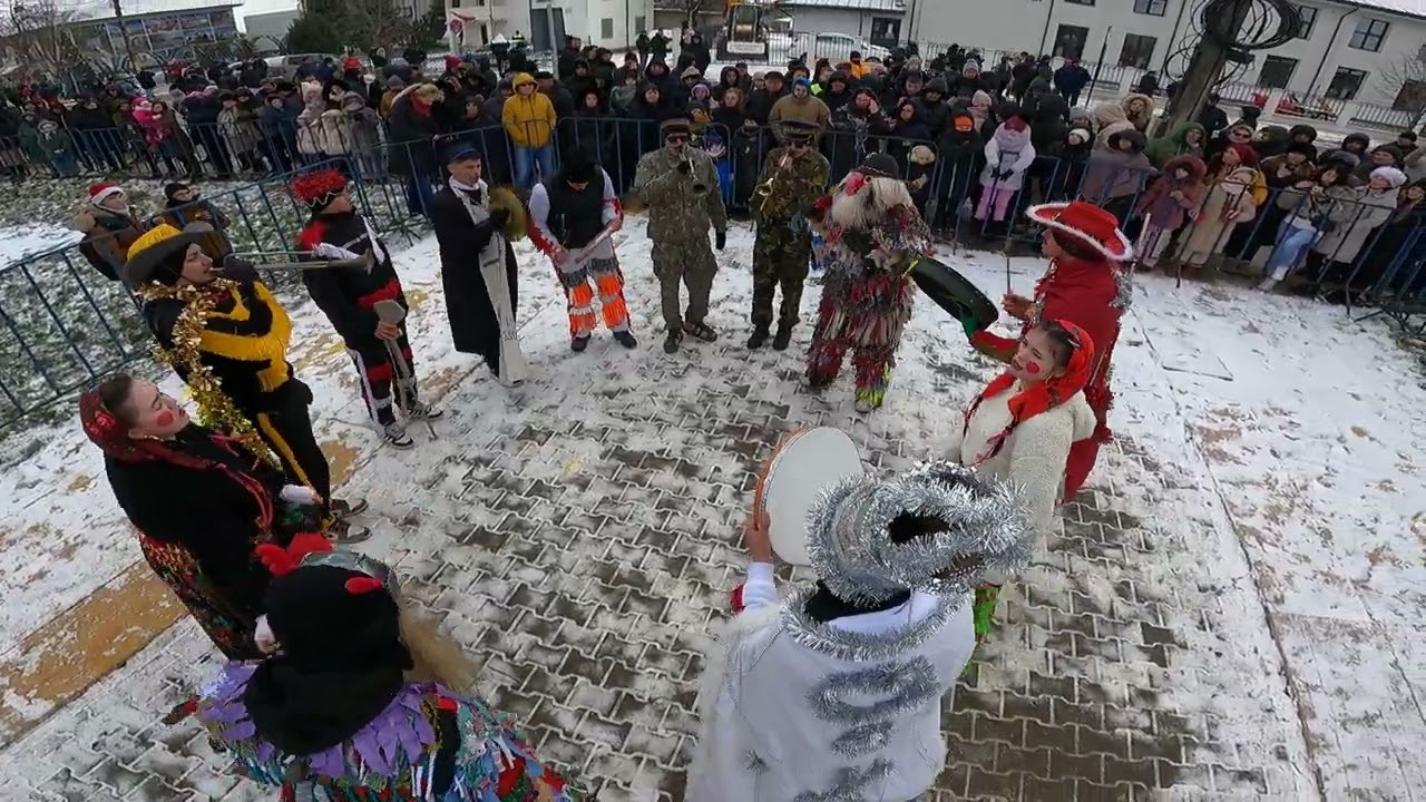 Bujorul din Bosia, Iași-2025